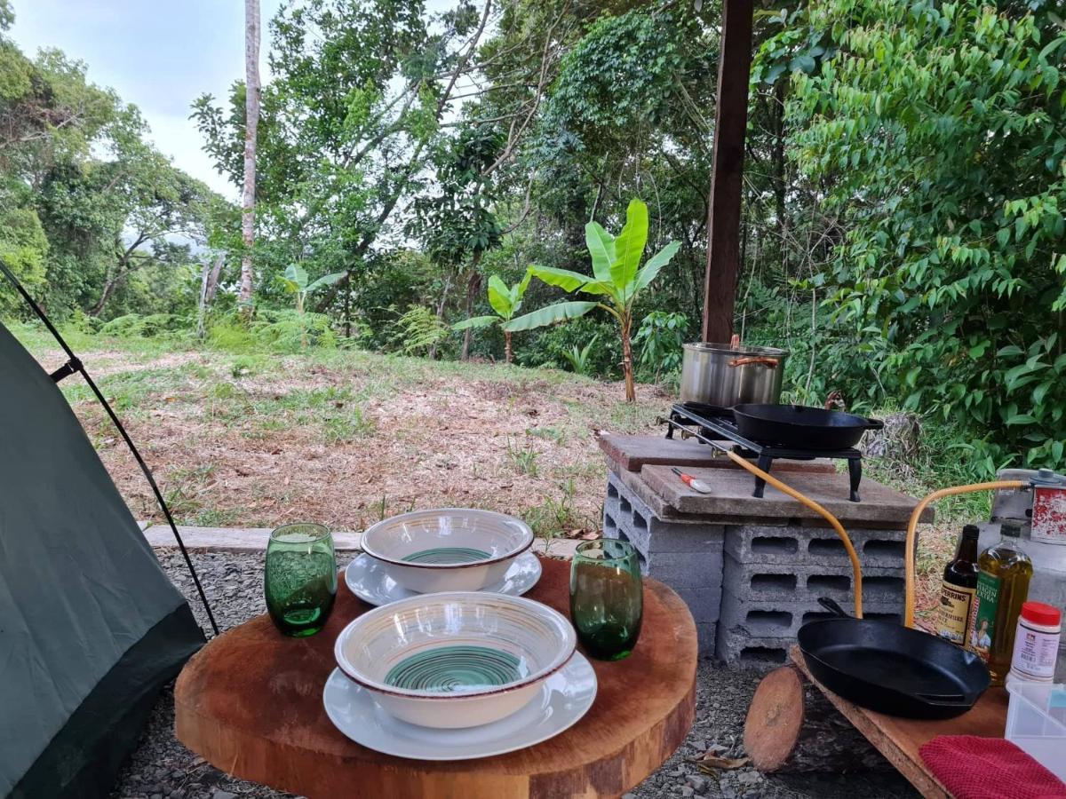 Hotel Jungle Eco Reserve Colon Esterno foto