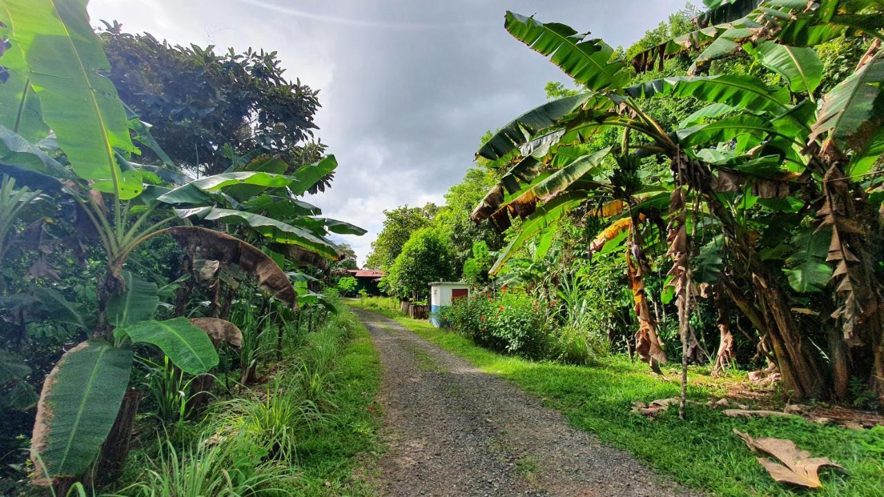 Hotel Jungle Eco Reserve Colon Esterno foto