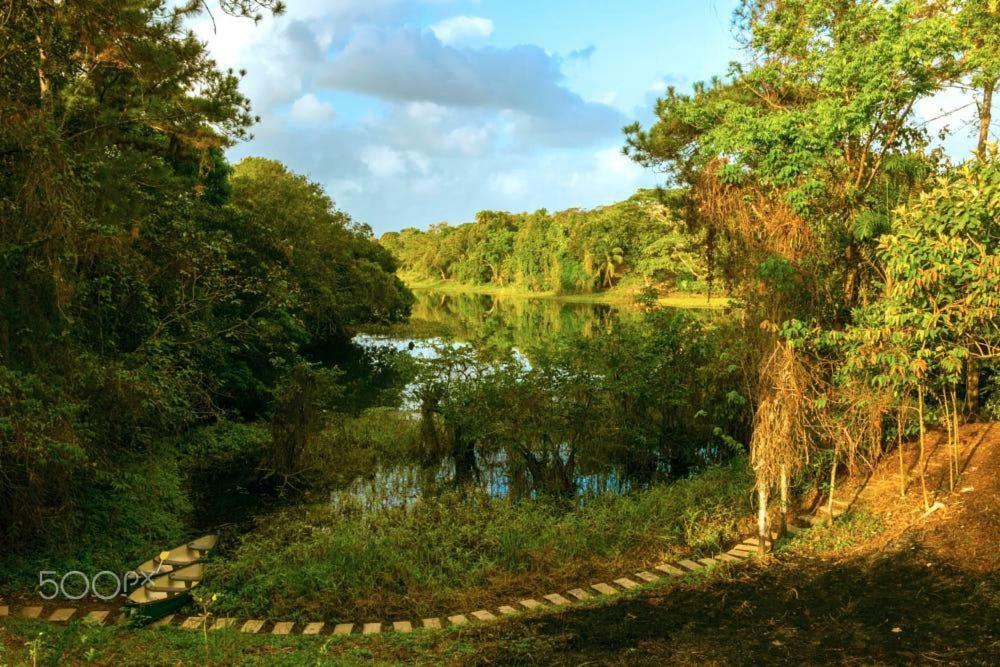 Hotel Jungle Eco Reserve Colon Esterno foto