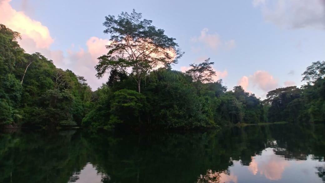 Hotel Jungle Eco Reserve Colon Esterno foto