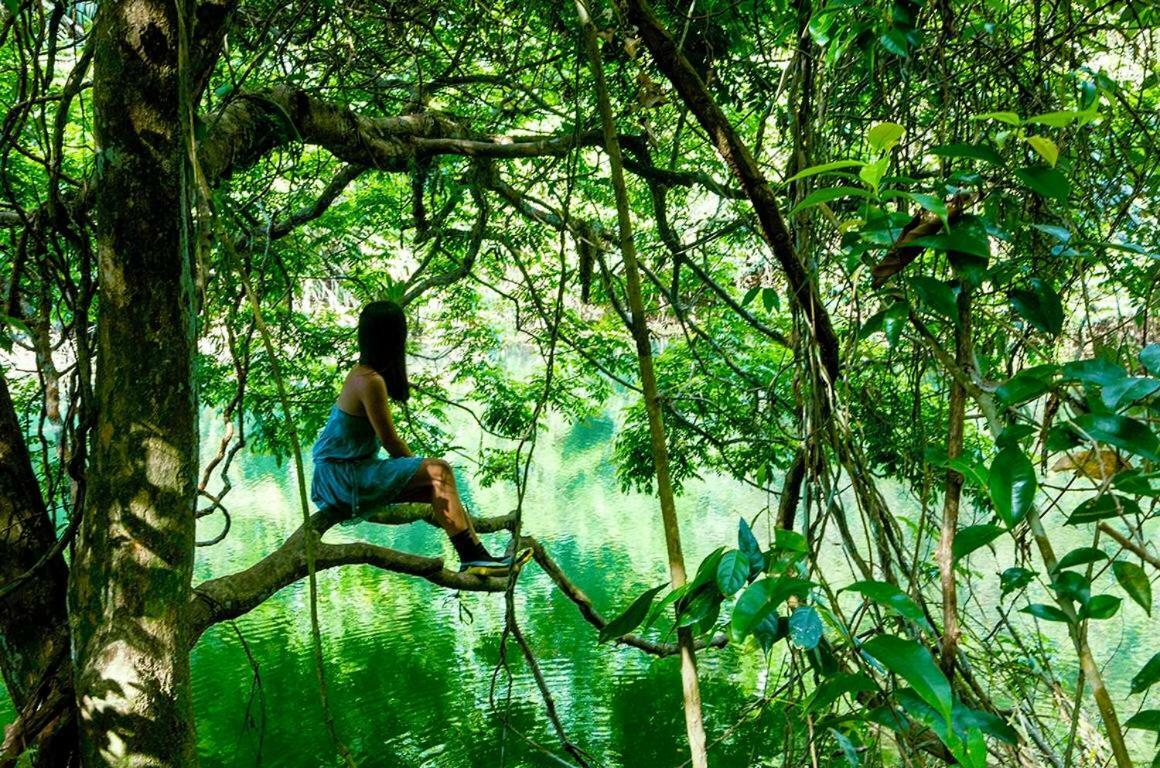 Hotel Jungle Eco Reserve Colon Esterno foto