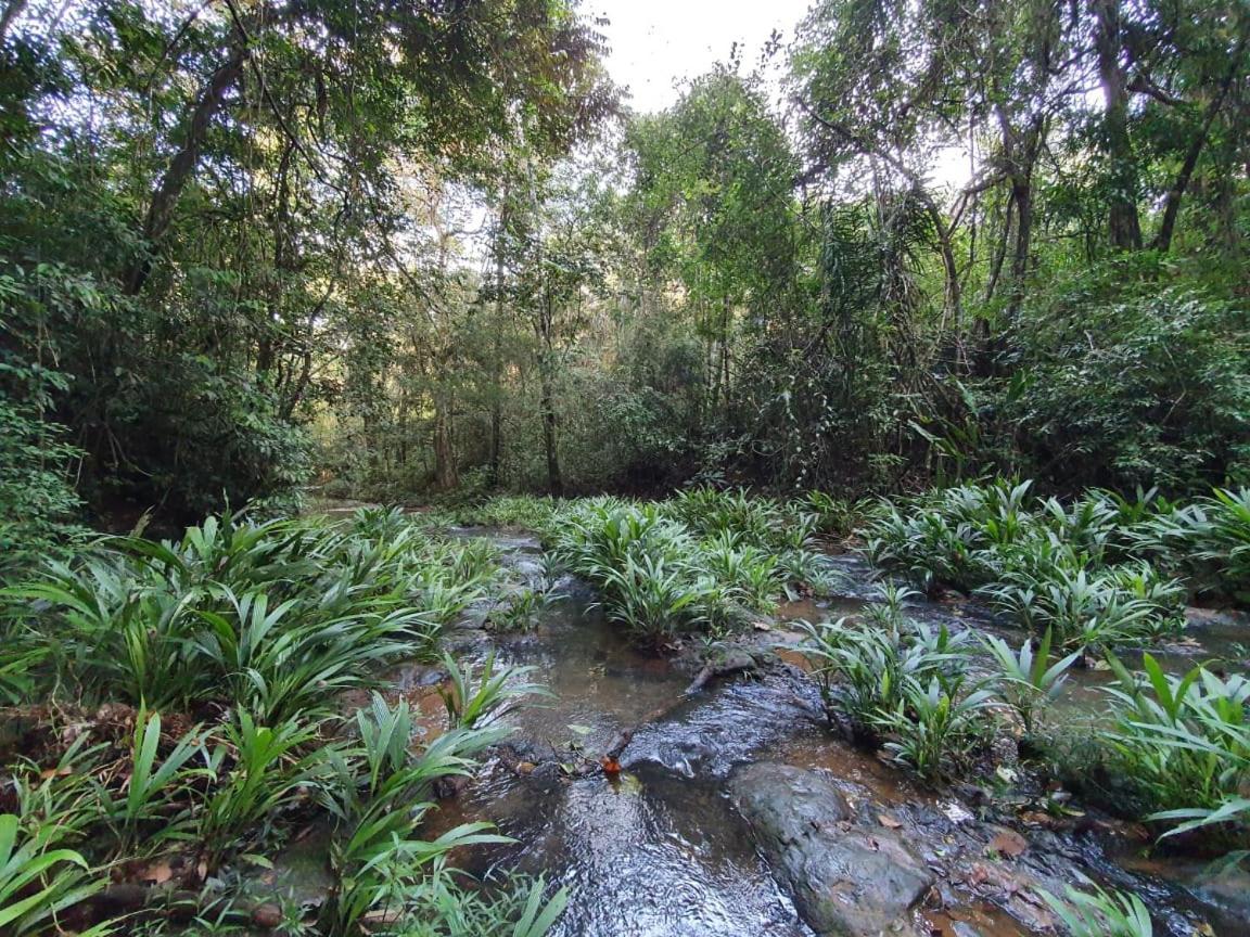Hotel Jungle Eco Reserve Colon Esterno foto