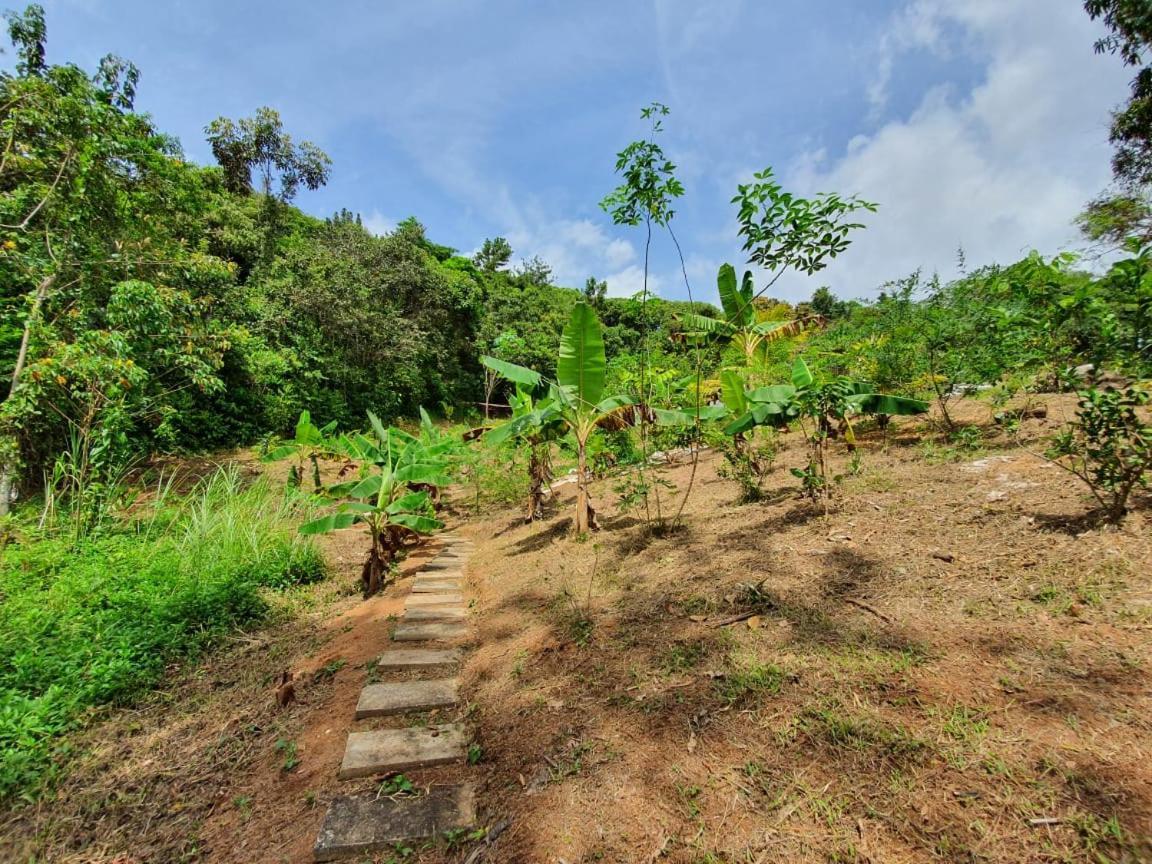 Hotel Jungle Eco Reserve Colon Esterno foto